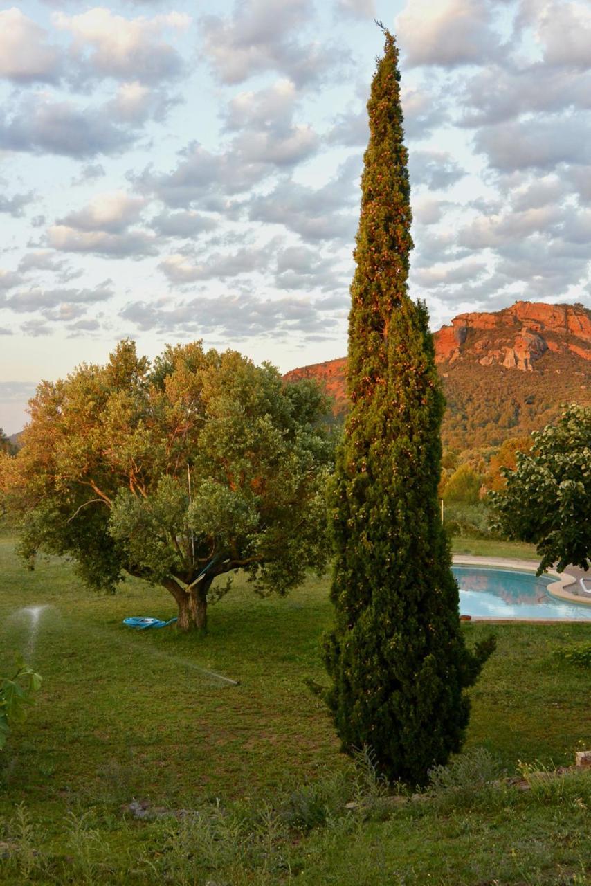 L'Albaida, Tranquility, Views Of Sea And Mountains Daire Vilanova de Escornalbou Dış mekan fotoğraf