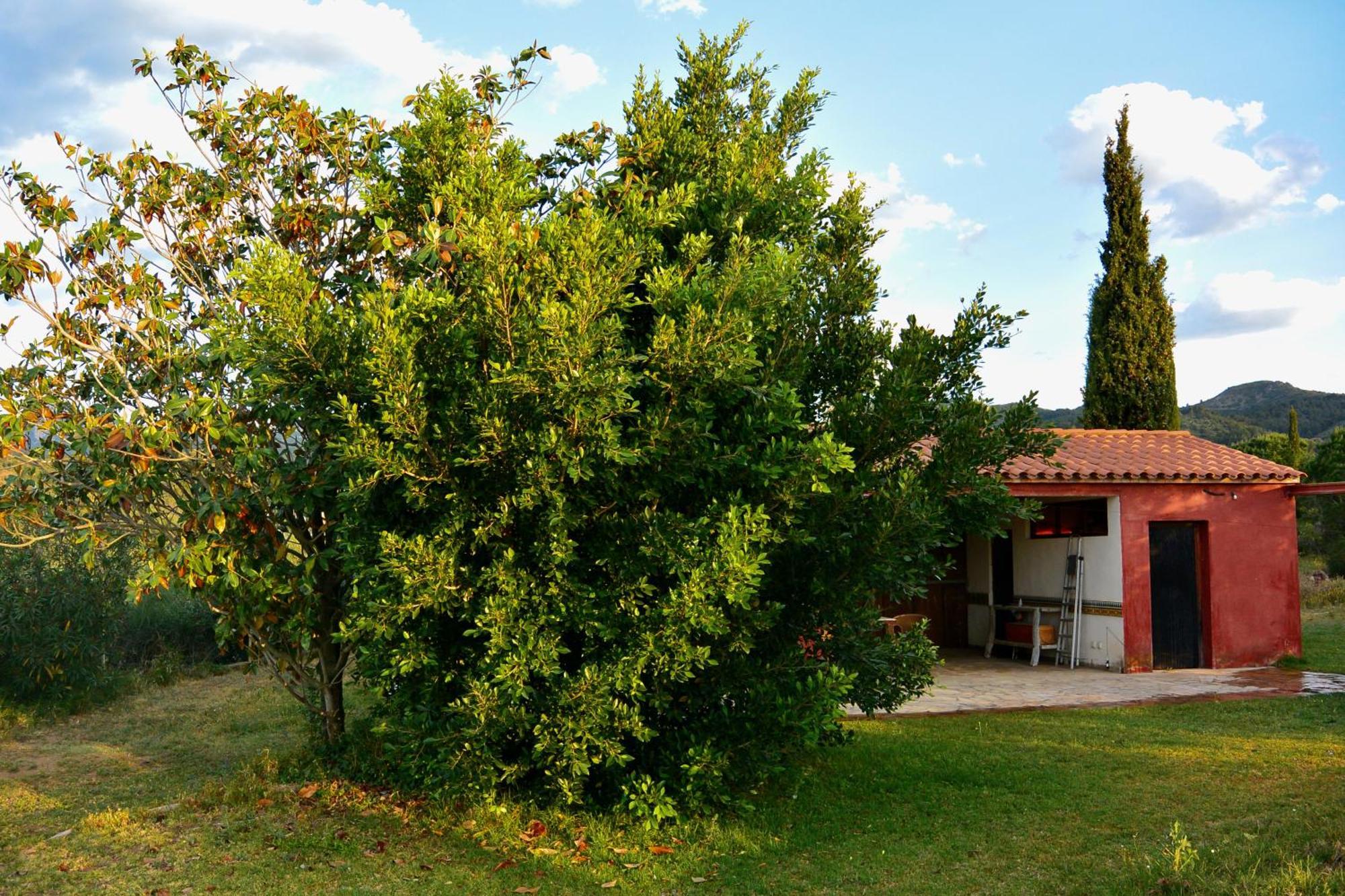 L'Albaida, Tranquility, Views Of Sea And Mountains Daire Vilanova de Escornalbou Oda fotoğraf